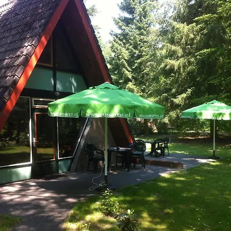 Ferienhaus In Mit Moeblierter Terrasse Stramproy